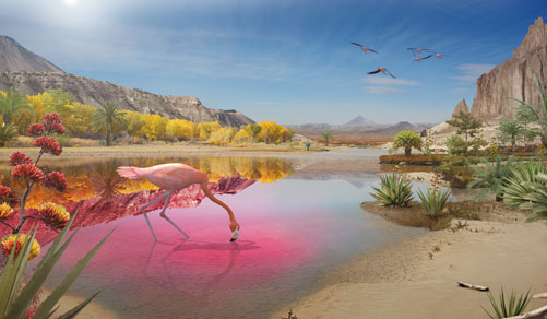 Retrouvez l'univers de vente-privee sur nos réseaux sociaux